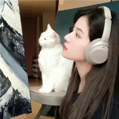 动物宝宝