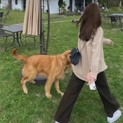 伪君子